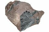 Metallic, Needle-Like Pyrolusite Crystals - Morocco #220645-2